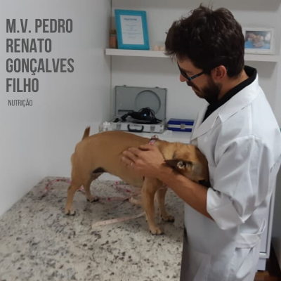 Pedro Renato Gon&ccedil;alves filho