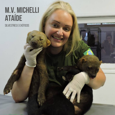 Michelli Ata&iacute;de Veterin&aacute;ria Silvestres Ex&oacute;ticos