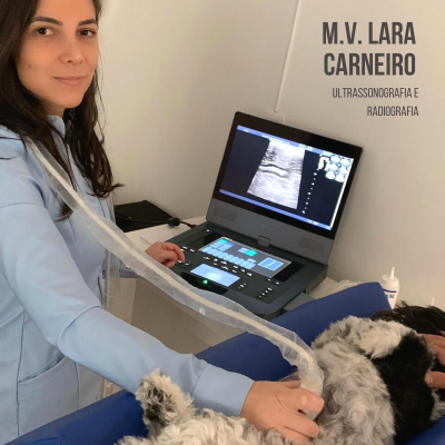 Lara carneiro ultrassonografia radiografia veterin&aacute;ria