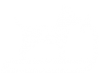 fisioterapia veterin&aacute;ria