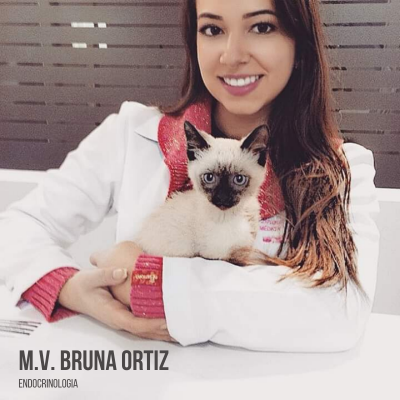 bruna ortiz endocrinologia veterin&aacute;ria