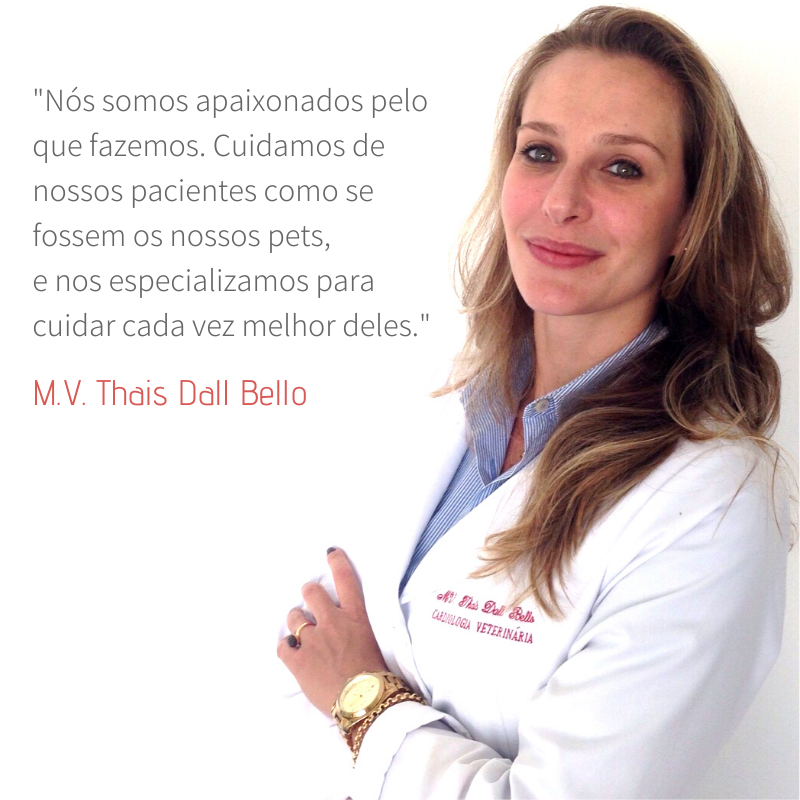 veterinária passo fundo thais Dall bello cardiologia veterinária