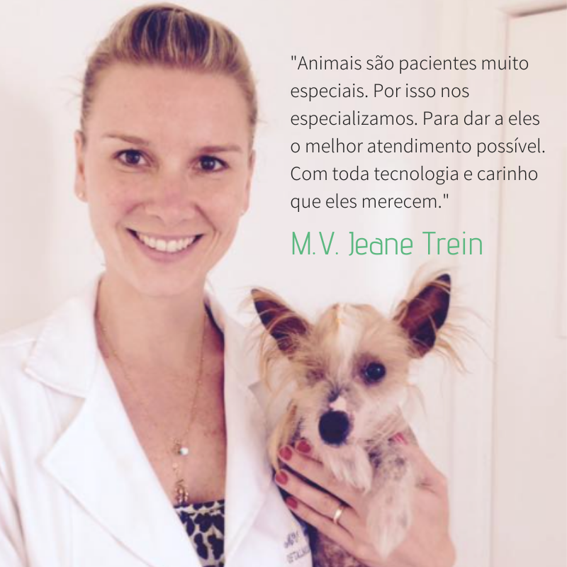veterinária passo fundo Jeane trein oftalmologia veterinária