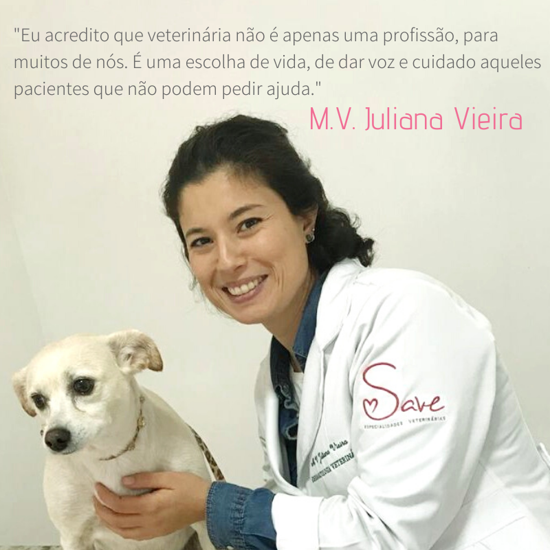veterinária passo fundo Juliana Vieira dermatologia veterinária